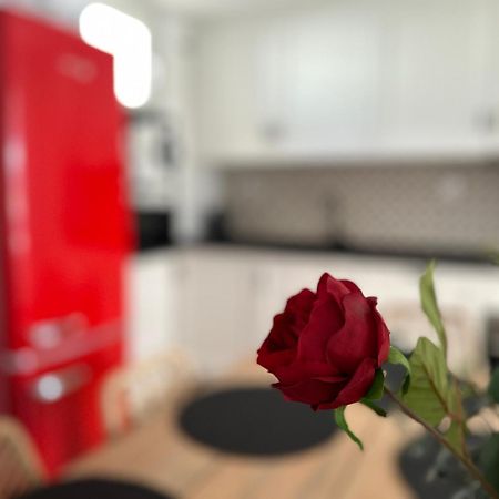 Adeva Centrico 3 Habitaciones 赫雷斯 外观 照片